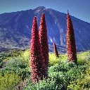 Parque Nacional del Teide