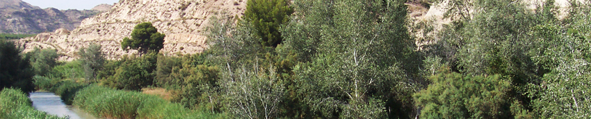 Río Segura